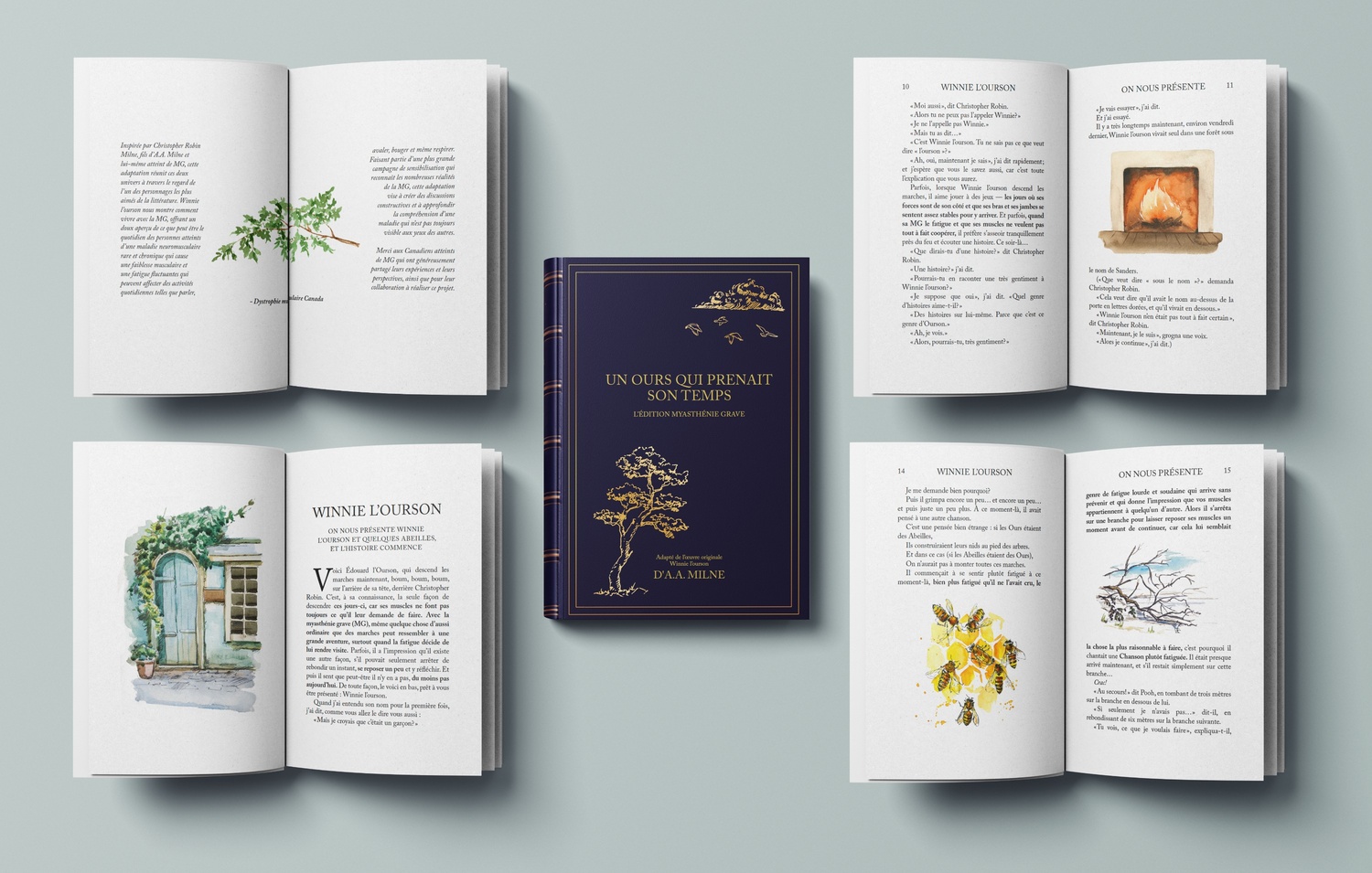 UCB Book Blog Image Mockup FR